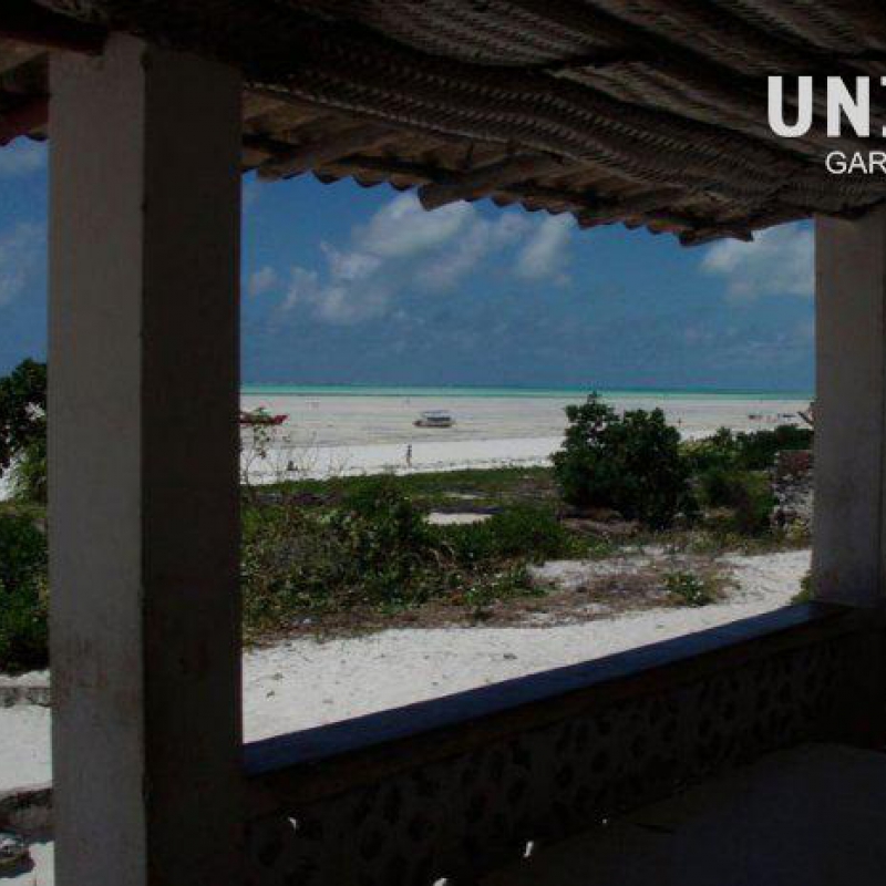 Cairo-Cape Town 2008