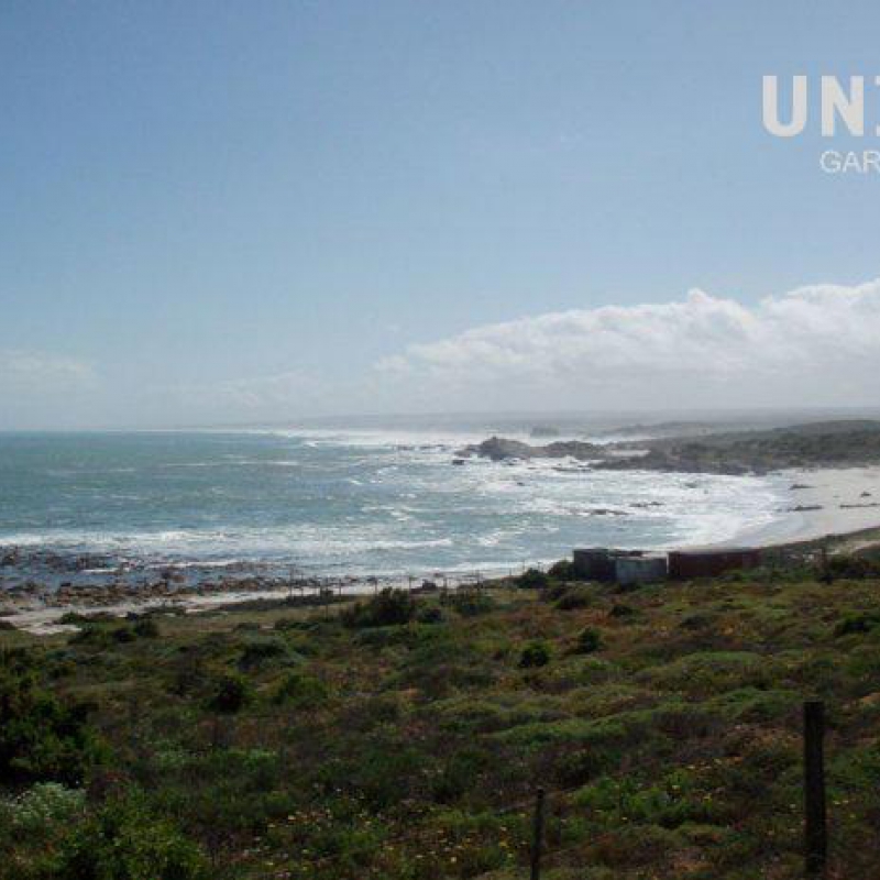 Cairo-Cape Town 2008