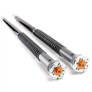 Cartouches de fourche pour Triumph Trident 660 (à partir de 2021)