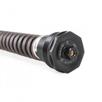 Cartouche de fourche Öhlins NIX 30mm Street Indian FTR S (Sachs) SSS (2021-2023)