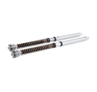 Cartouche de fourche Ohlins NIX 30