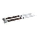 Cartouche de fourche Öhlins NIX 30 Aprilia RS 660 (2021-2025)