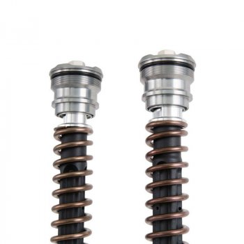 Cartouche de fourche Ohlins NIX 30