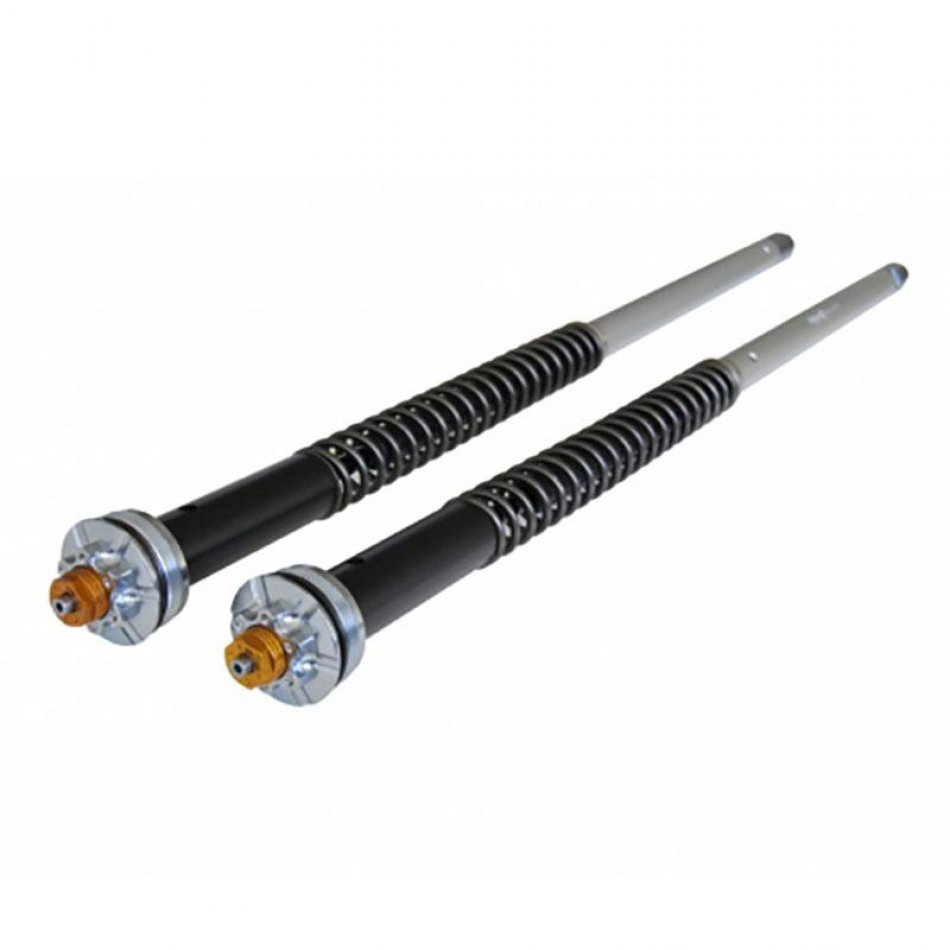 Cartouche de fourche R1200R