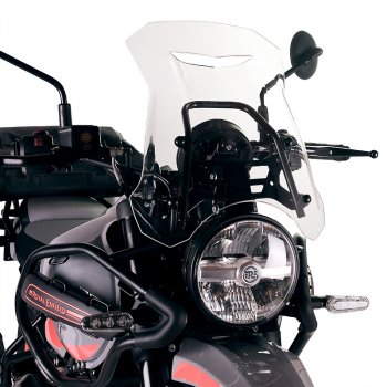 Écran avec support GPS Royal Enfield Himalayan 450 (à partir de 2024)