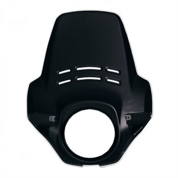 Carénage Fenouil BMW R12 G/S