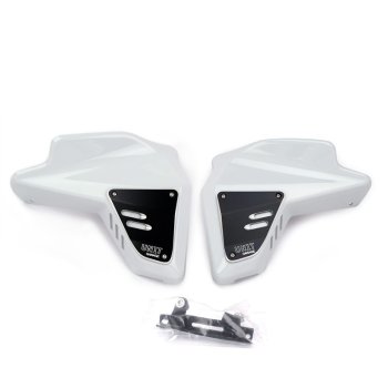 Panneaux latéraux de radiateur BMW R12 G/S