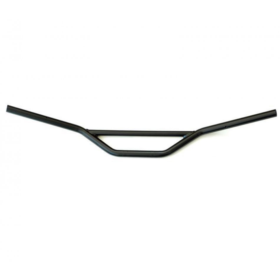 Guidon Royal Enfiled Bear 650