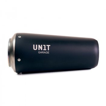 Silencieux bas Triumph Speed 400