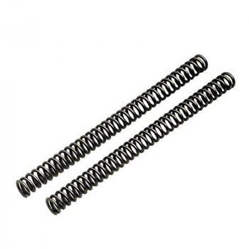 Ressorts de fourche R nineT