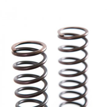 Ressorts de fourche Triumph