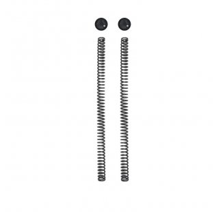 Kit Öhlins 2 bouchons plus 2 ressorts de fourche Royal Enfield Himalayan 450 (2024)