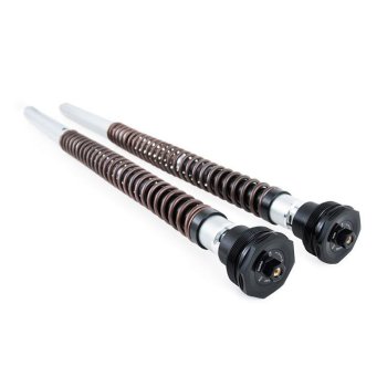 Cartouche Ohlins NIX30A Scrambler 1200 XC