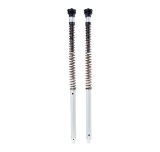 Cartouche Ohlins NIX30A Scrambler 1200 XC