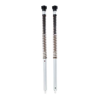 Cartouche Ohlins NIX30A Scrambler 1200 XC