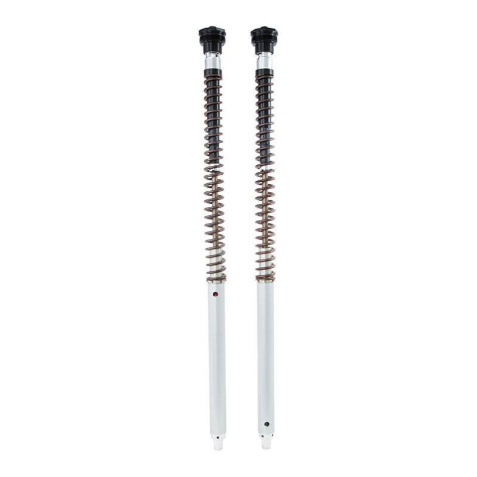 Cartouche Ohlins NIX30A Scrambler 1200 XC