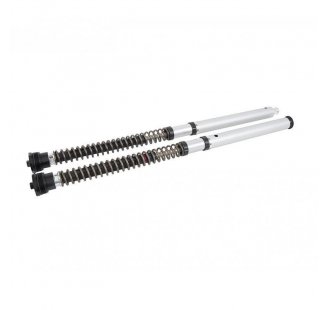 Cartouche Ohlins NIX30S