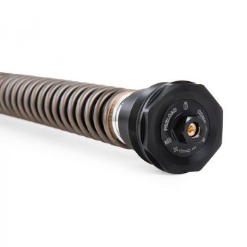 Cartouche Ohlins NIX30S